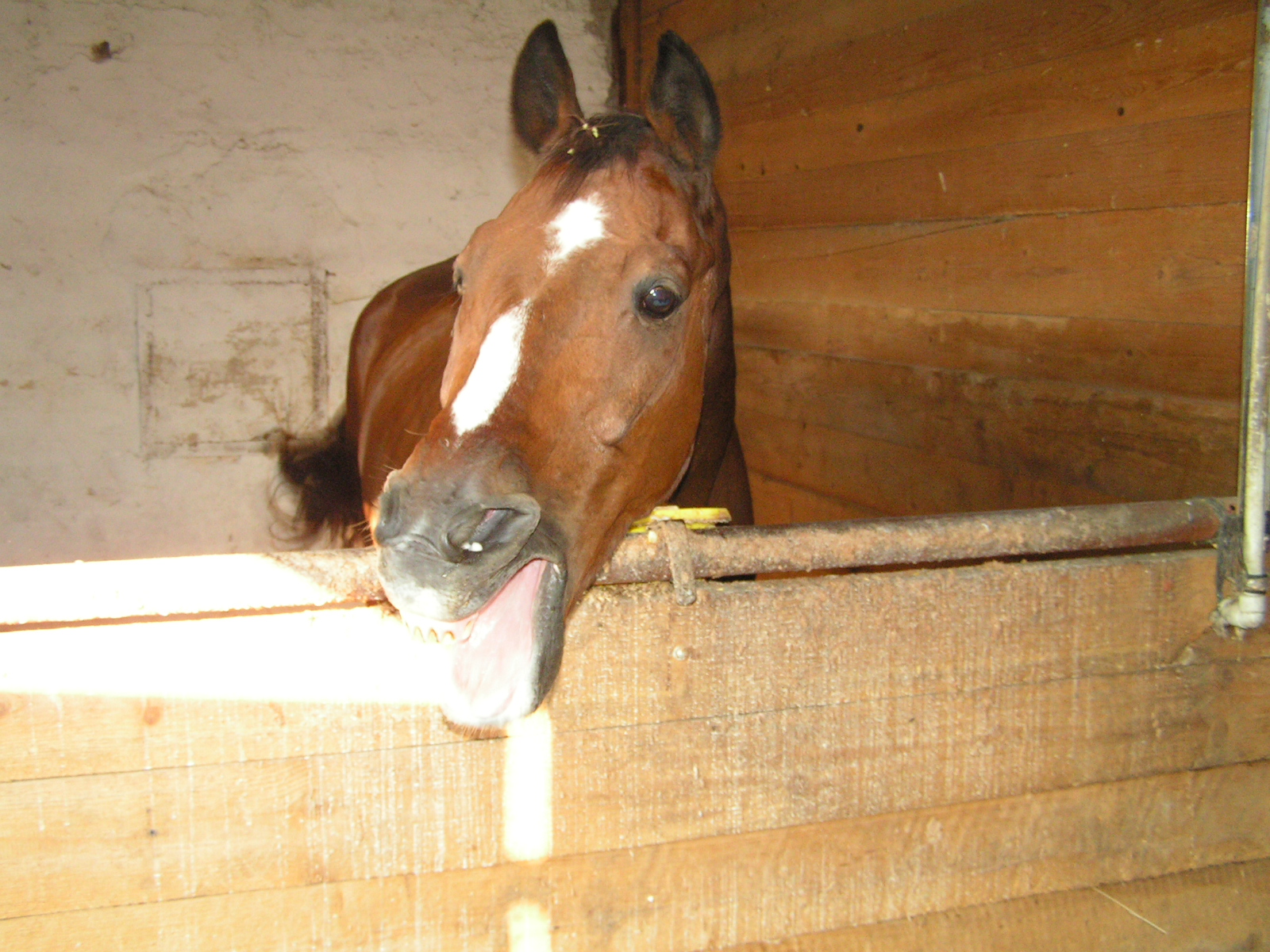 PICT0056.JPG