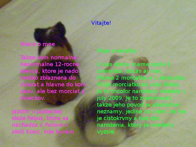 Morcata a ufonek.jpg