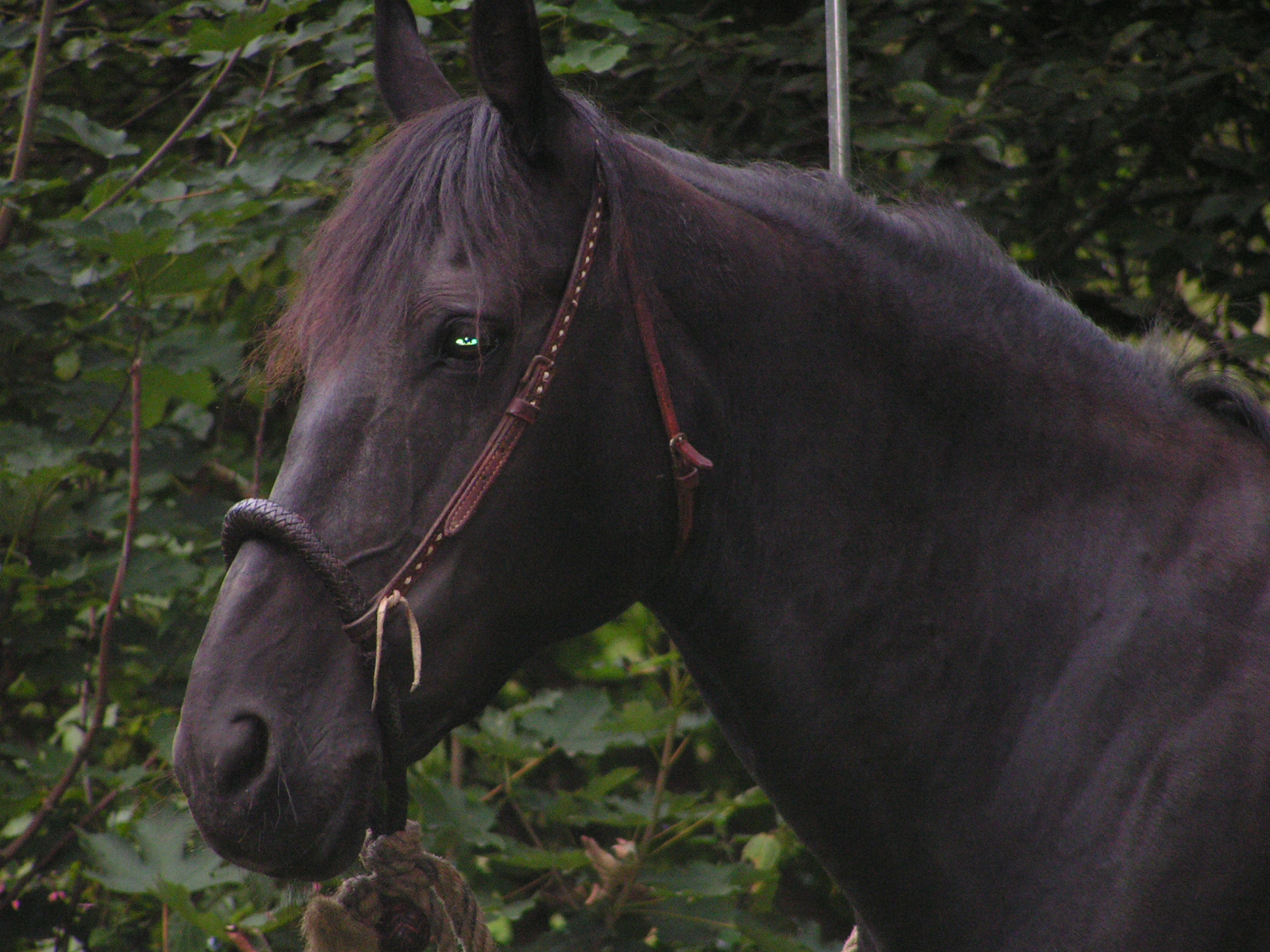 PICT0053.JPG
